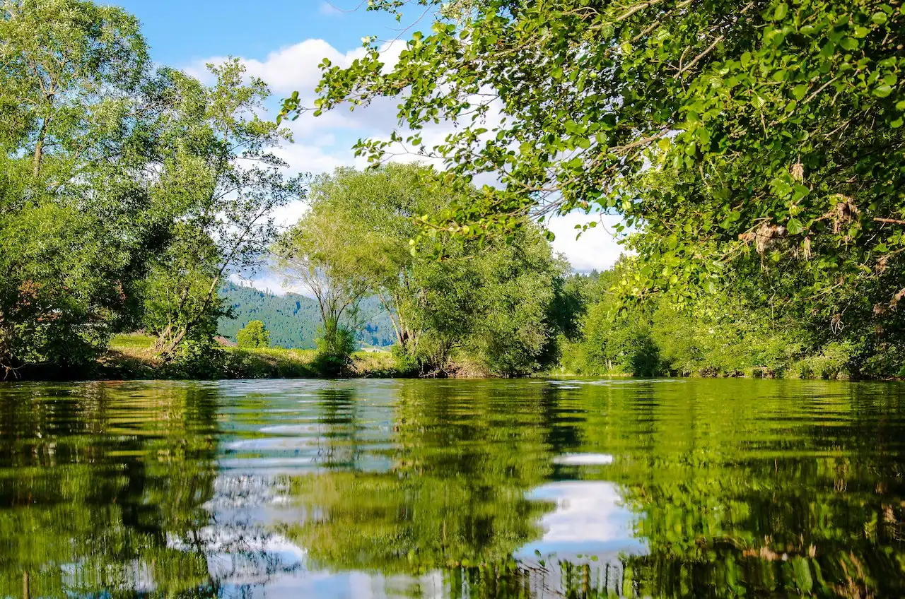 Réaménagement de berges : comment Jacquemet contribue à la gestion durable de l’eau ?